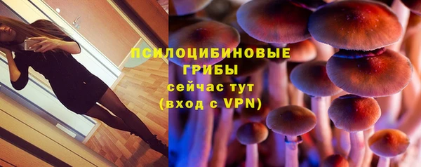 мяу мяу мука Ростов