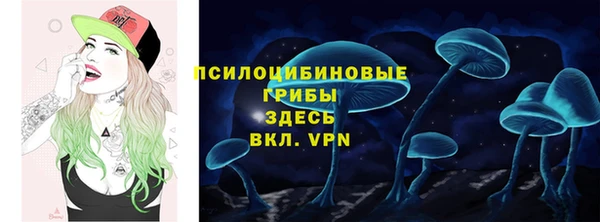 эйфоретик Алексин