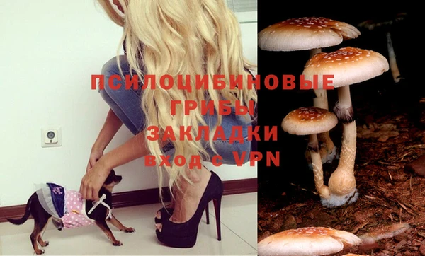 PSILOCYBIN Алзамай
