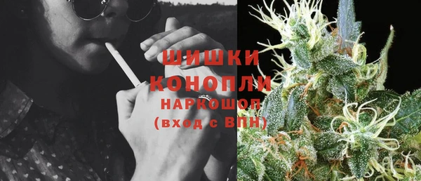 PSILOCYBIN Алзамай