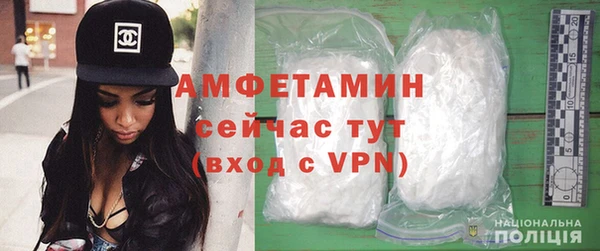 PSILOCYBIN Алзамай