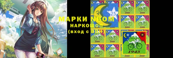 PSILOCYBIN Алзамай