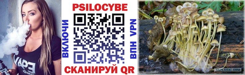 цена   Кимры  Галлюциногенные грибы мухоморы 