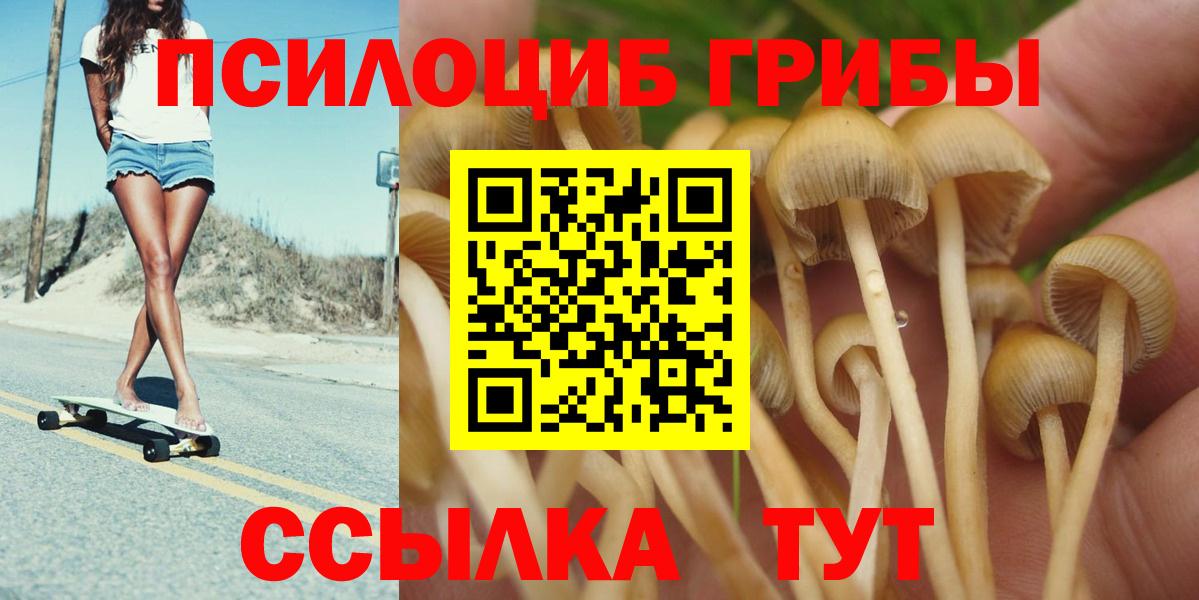 Галлюциногенные грибы GOLDEN TEACHER Кимры
